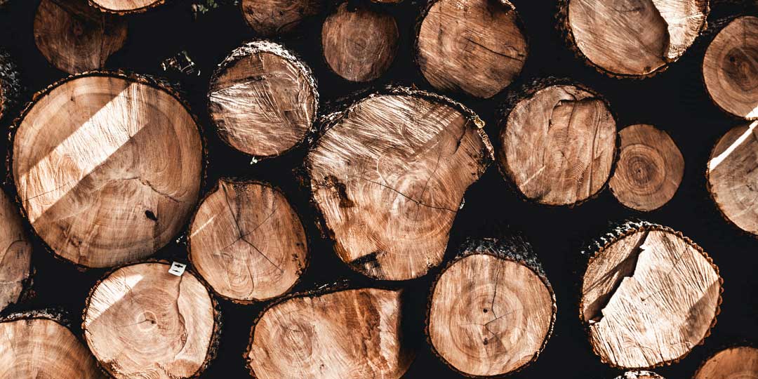 logs